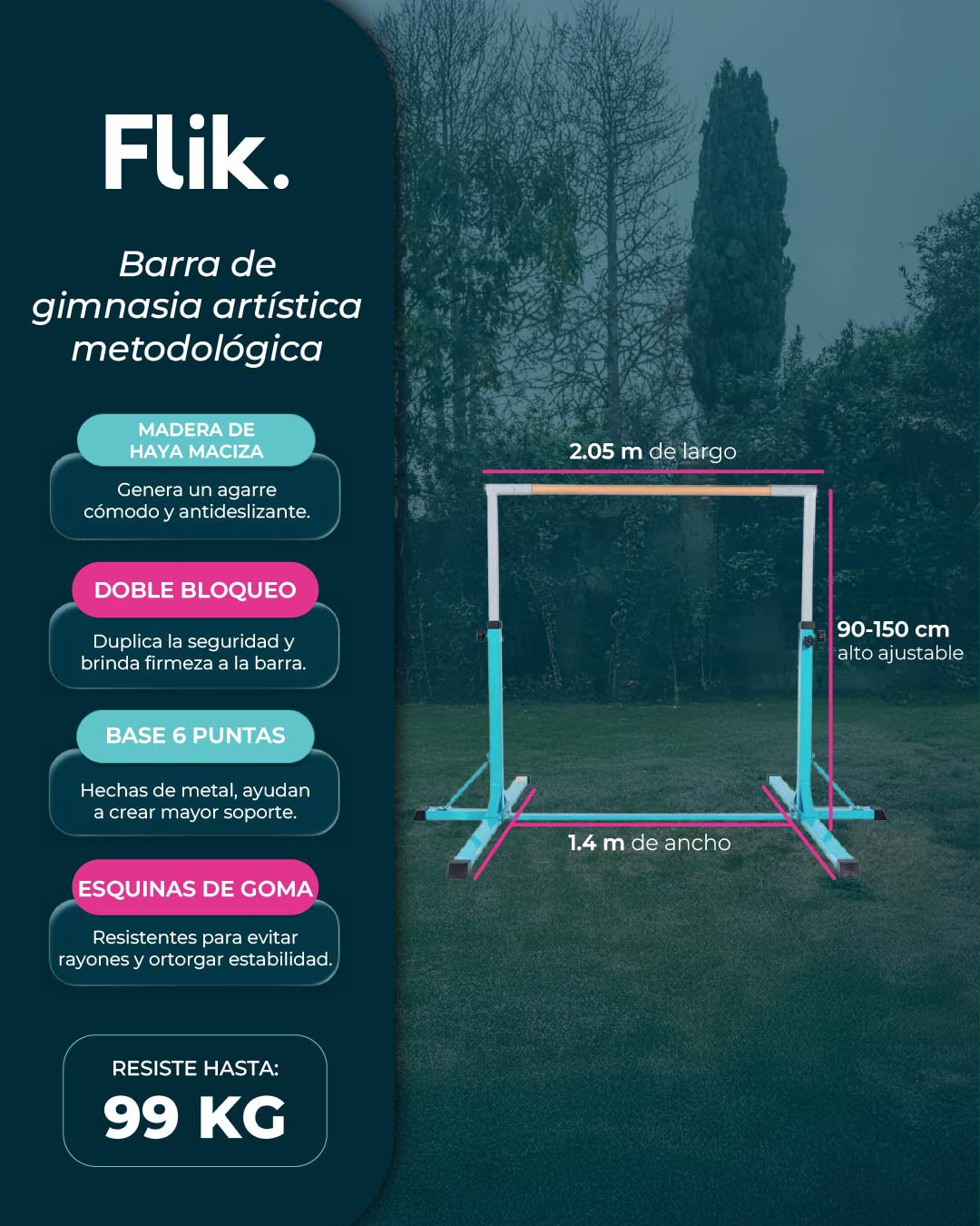 Barra Fija Gimnasia Artística